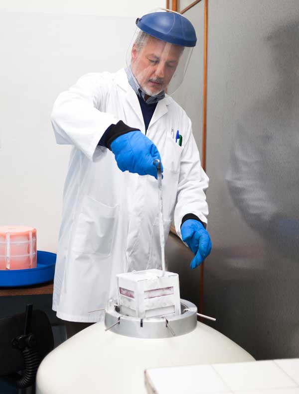 Hazard potential of laboratory Cryogens