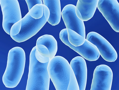 Introduction to Microbiology