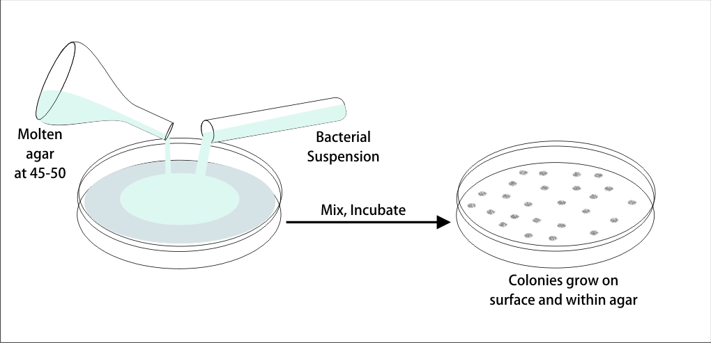 Familiarize with culture media-the growth and survival media of microorganisms