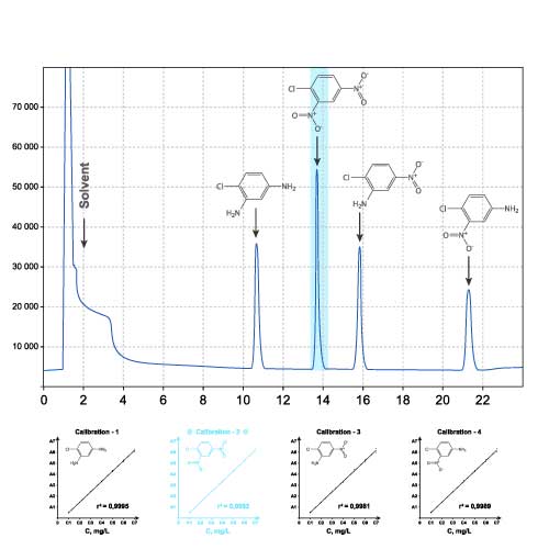 Gas Chromatogram