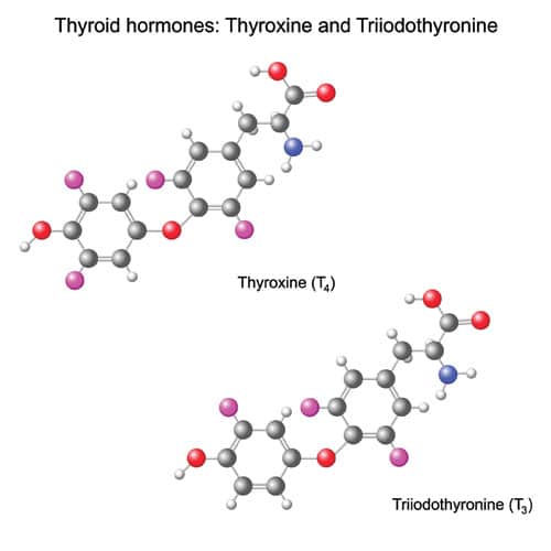 Scope of NMR Applications in Basic Research and Industry