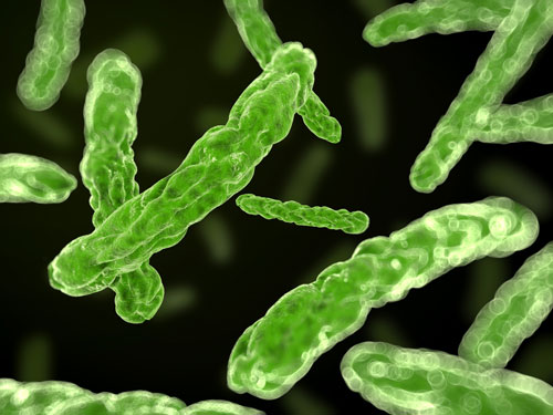 What conditions are favourable to growth of Microorganisms?