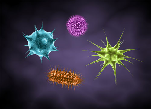 Beneficial Role of Microorganisms in Food Industry