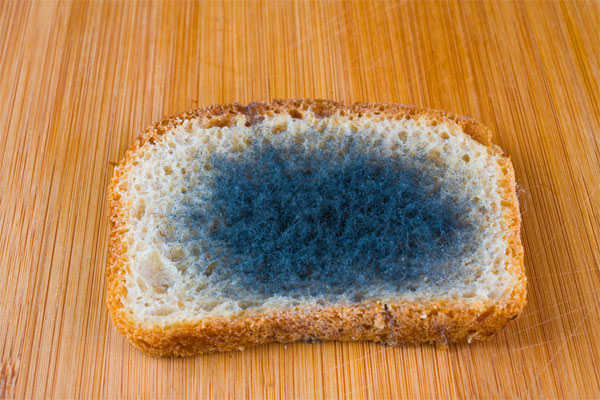 Contributions of Microbiology in Food Industry