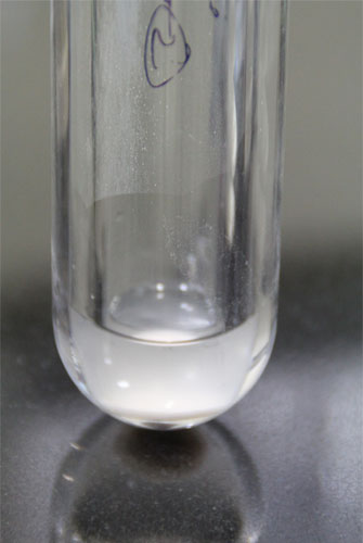 On-Shaking-Sample-remains-as-a-Suspension-without-Dissolving