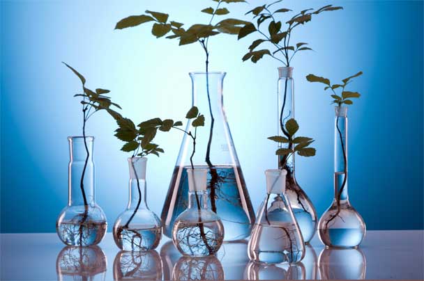 Show concern for environment at time of disposal of laboratory wastes