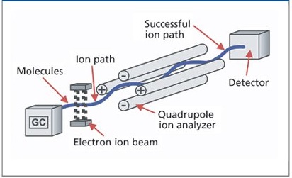 How is Mass Spectroscopy different from other Spectroscopic Techniques?