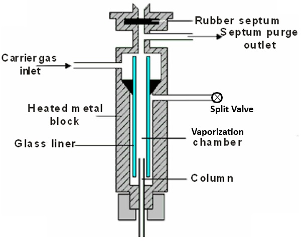 Benefits of Split /Splitless Injection in Capillary Gas Chromatography