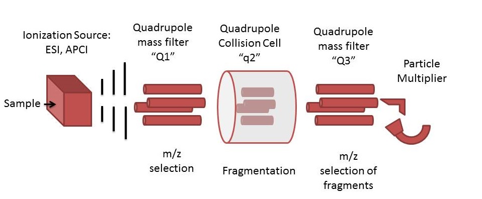 How LC – MS/MS Scores over LC – MS?