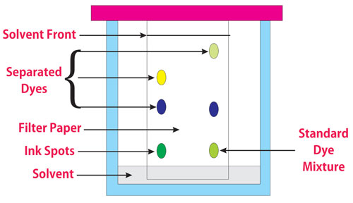 Special considerations for identification and detection in Thin Layer Chromatography
